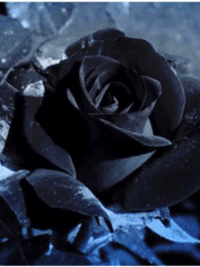 흑화연모서 (黑花戀慕書)