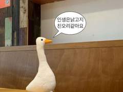 군밤보다는 생밤이 더 맛잇는데