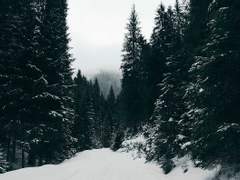 [닥터후/오리캐]Some Fine Days of Pine Dehan 1