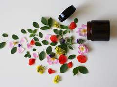 흩어지는 유리꽃잎