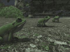 효월의 종언 (8)