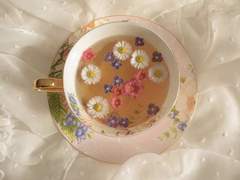 그대에게 보내는 편지