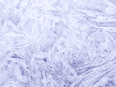 공부가 세상에서 제일 쉬웠어요