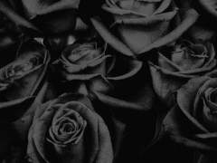 [장추] 뭔가 잘못됐어.