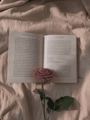 하이큐 블랙자칼 익명게시판