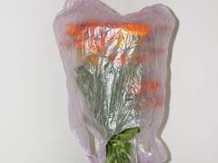 소이한 일상 上