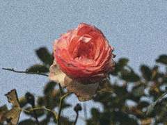 [ 벤틀리 웨더퍼드 / 슬리데린 ]