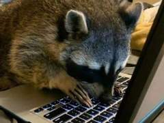 4월 ~ 5월 유사 백업