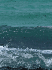 벼랑 끝의 동화 섬과 괴로움의 망망대해