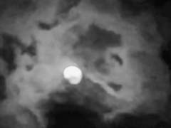 [팀원 개인작] 살인 학교에 오신 것을 환영합니다