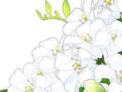 오렌지 꽃 브러쉬