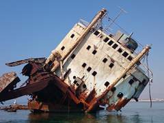 [타로 샘플] 리세 달, 이스마엘 엘리아스 다리오