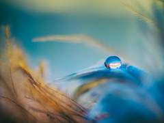 야만바기리에 대한 단상