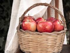 사자와의 내일 1화