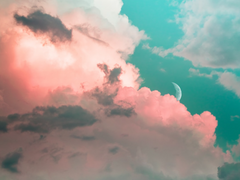 당신을 사랑했습니다. (1/2)