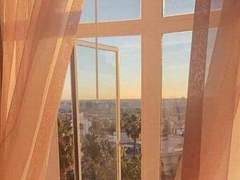 바람에 흩뿌려지는 작은 꽃잎 하나