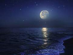 01 | 환각의 바다