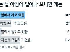 쉬는 날 아침 일어나 보니 걔는