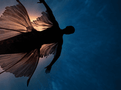 Secret of Fairy Tale 1