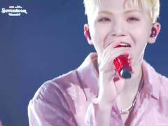 SEVENTEEN 2022 JAPAN FANMEETING 'HANABI' 2