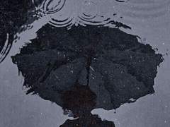 배유빈 女 1학년