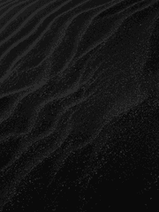 세계 관측자 재단