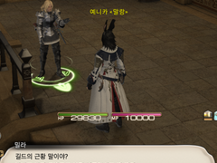 (스포주의) 효월 엔딩후 NPC대사 변경