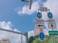 날아오른 푸르름