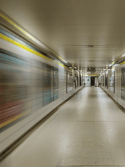 왜 이래, 너는 할리퀸이 아니잖아