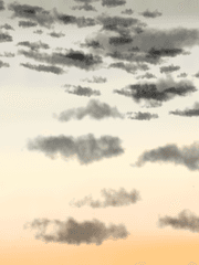 쓰고 싶은 설정 모음