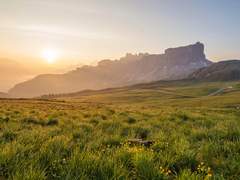 [Mafia AU] 당신을 사랑하는 이유