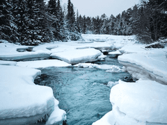 와이너리 귀신대소동 3화