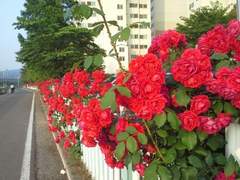 예쁘면 죄가 아니다/이상진