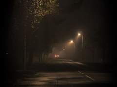 내 마음의 등불/정 서