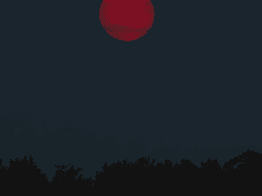 사이키 설정 백업