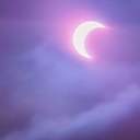 보라 빛 달