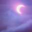 보라 빛 달