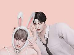 고양이과 토끼과