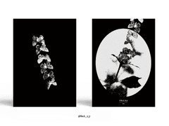 Sold out. 기록의 유산