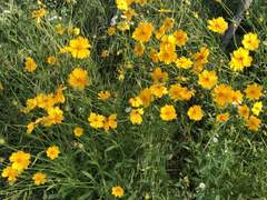 날씨는 맑음 내 마음은 가뭄