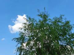 68. 이천이년 오월 십육일 귀갓길