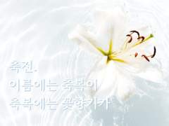 [레지나레나] 축전. 이름에는 축복이 축복에는 꽃향기가