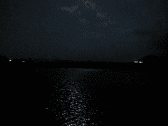 저보다 먼저 다치지 마세요.