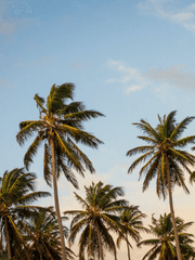 내가 온 이곳엔 낙원은 없었다