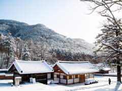 비밀문서 : 진눈깨비