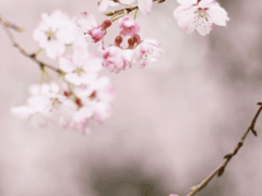 화산 등산 시 주의사항