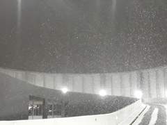 일이주전침대밑에있던누워서쓴글