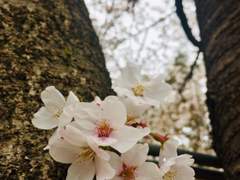 < '산책자'에게 보내는 짧은 편지 >