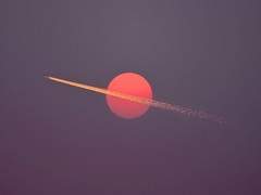 세상의 모든 명사는 애정의 증거로 읽힌다 (上)