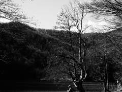 흑백사진_플리트비체의 노인